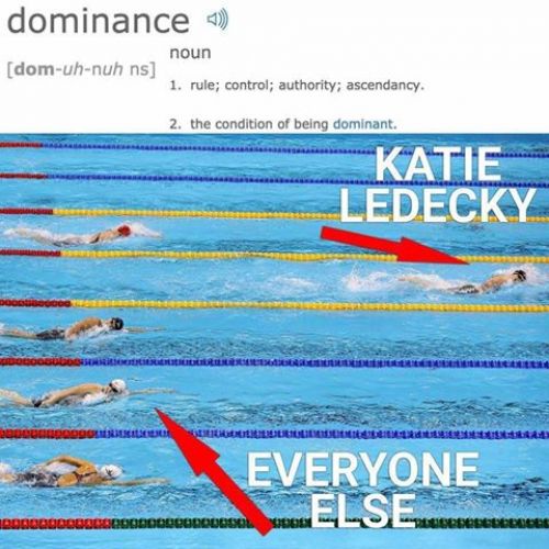 katie-ledecky-swimming-memes-in-olympics-img