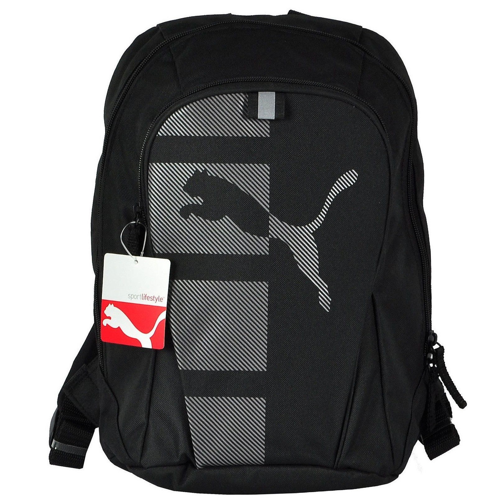 puma echo