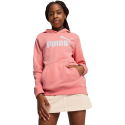 Hanorac copii Puma Ess No. 1 Logo Hoodie Tr G 68489718