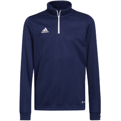Bluza copii adidas Jr Ent22 Training Top H57484