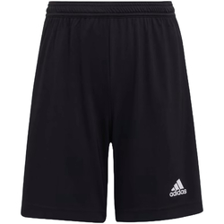 Pantaloni scurti copii adidas Jr Ent22 Short Black H57502