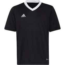 Tricou copii adidas Jr Ent22 Jersey H57497
