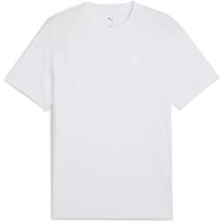 Tricou barbati Puma Evostripe Tee 68822902