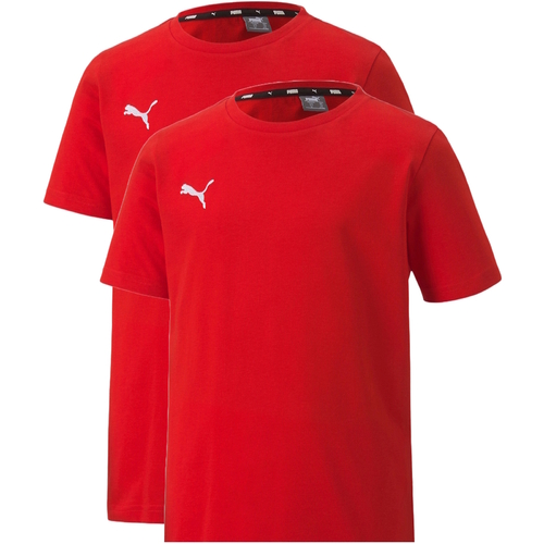 Tricou Puma Teamgoal 23