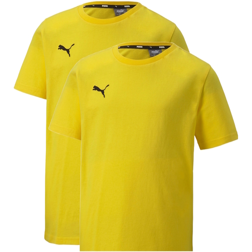 Tricou Puma Teamgoal 23